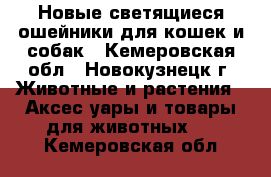 Новые светящиеся ошейники для кошек и собак - Кемеровская обл., Новокузнецк г. Животные и растения » Аксесcуары и товары для животных   . Кемеровская обл.